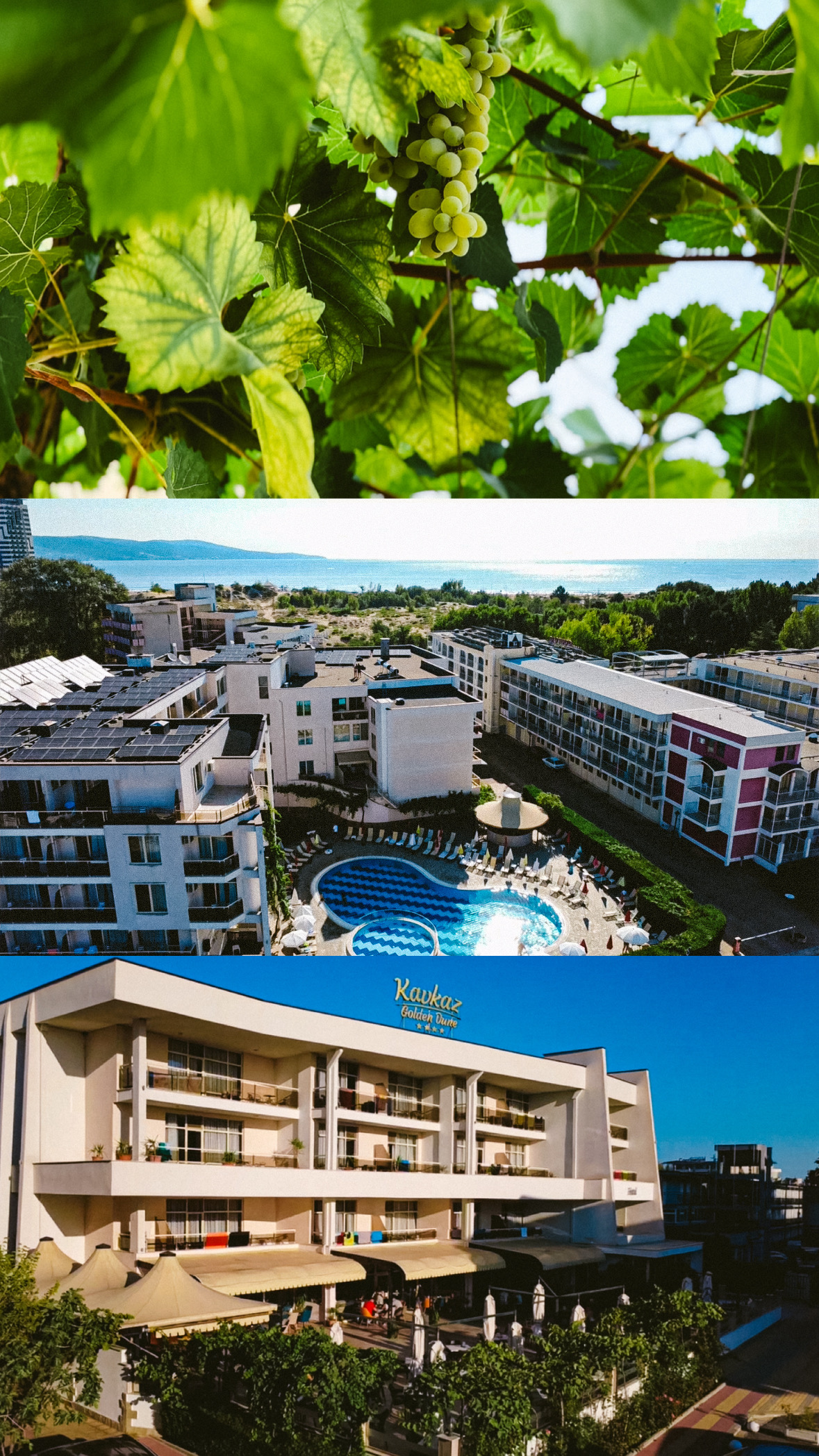 Hotel garden and pool